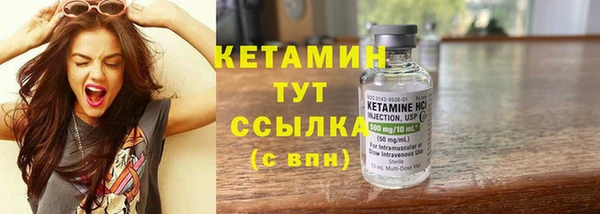 индика Краснотурьинск