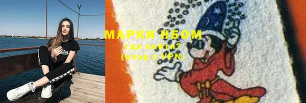 индика Краснотурьинск