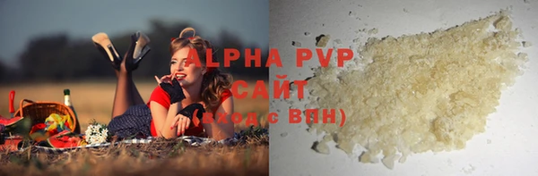 индика Краснотурьинск
