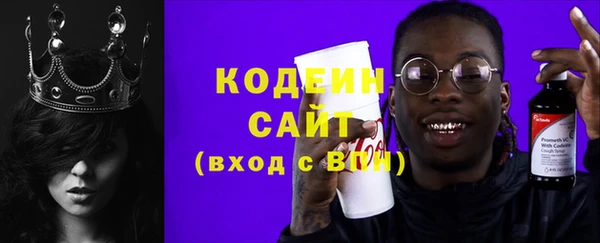 индика Краснотурьинск