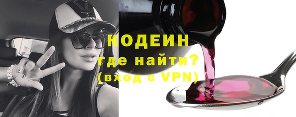 индика Краснотурьинск