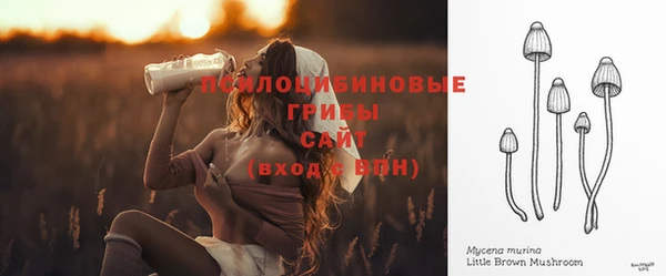 СК Краснослободск