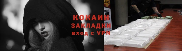 индика Краснотурьинск