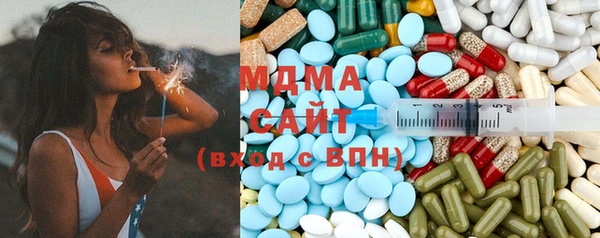 индика Краснотурьинск