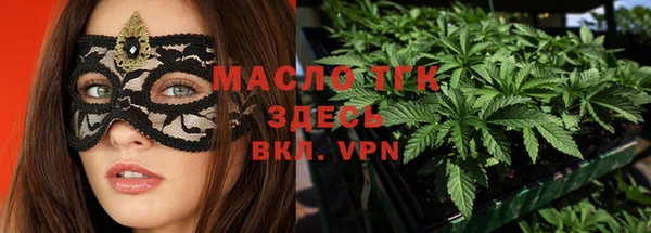 индика Краснотурьинск