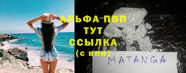 индика Краснотурьинск
