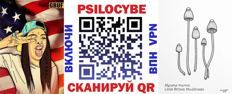 Псилоцибиновые грибы мицелий  Купить закладки  Перевоз 
